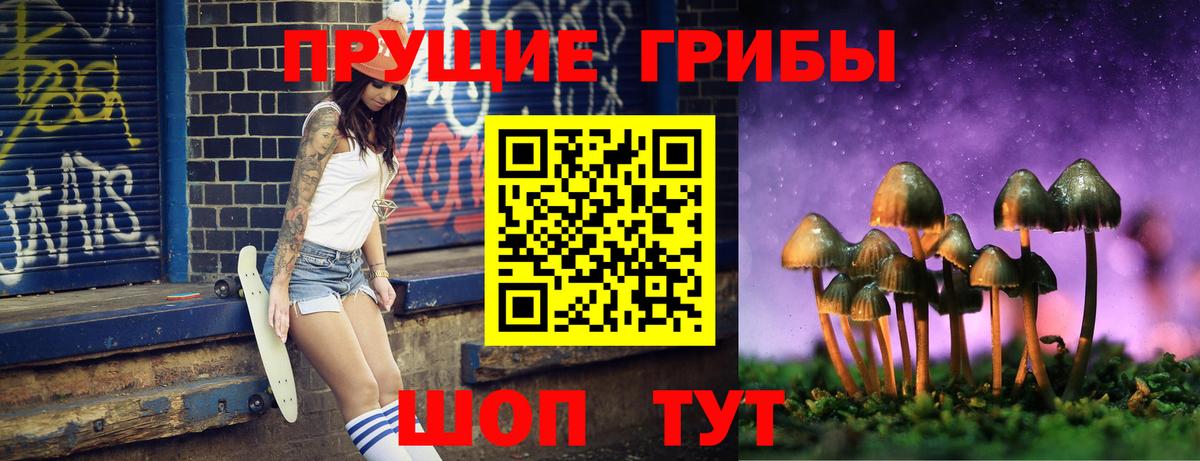 купить наркотик  Псилоцибиновые грибы прущие грибы  Вход с VPN  Юрга 
